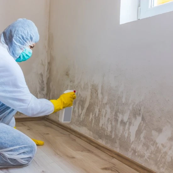 Mold Inspection Testing Yonkers Westchester NY