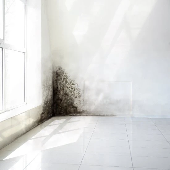 Mold Testing Inspection Middletown Newburgh Orange County NY