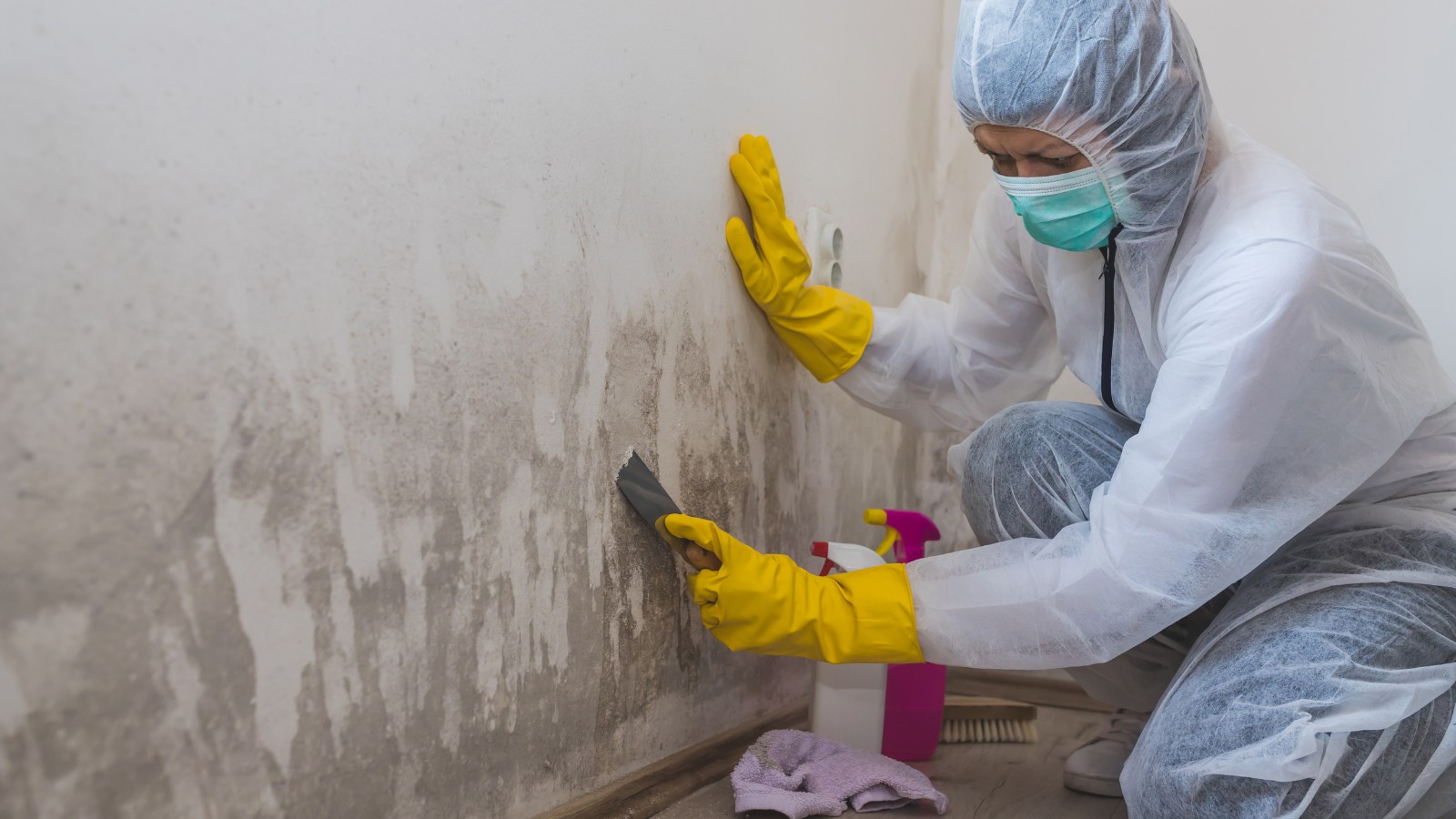 Mold Testing in NewYork