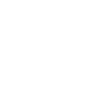 Tree Root
